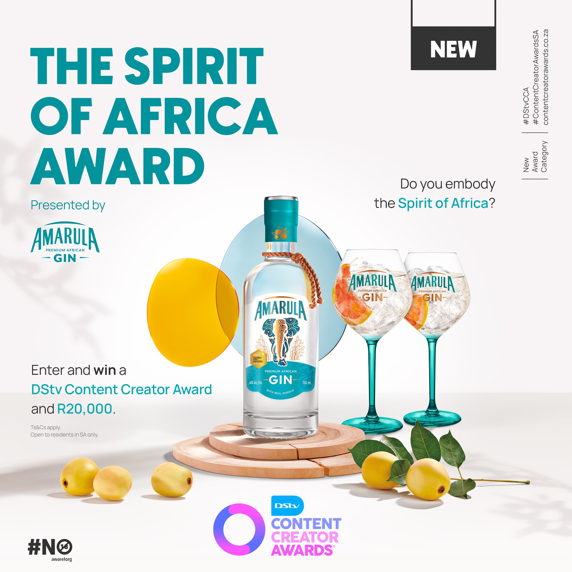 DStv Content Creator Awards and Amarula Premium African Gin — Call on South African Creators to show off their 'Spirit Of Africa'